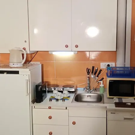 Tesla Romantic Cradle-big Winter-promo Discount Appartement Belgrade