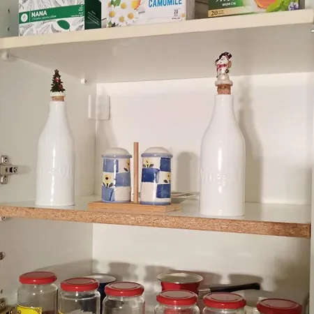 Tesla Romantic Cradle-big Winter-promo Discount Appartement Belgrade